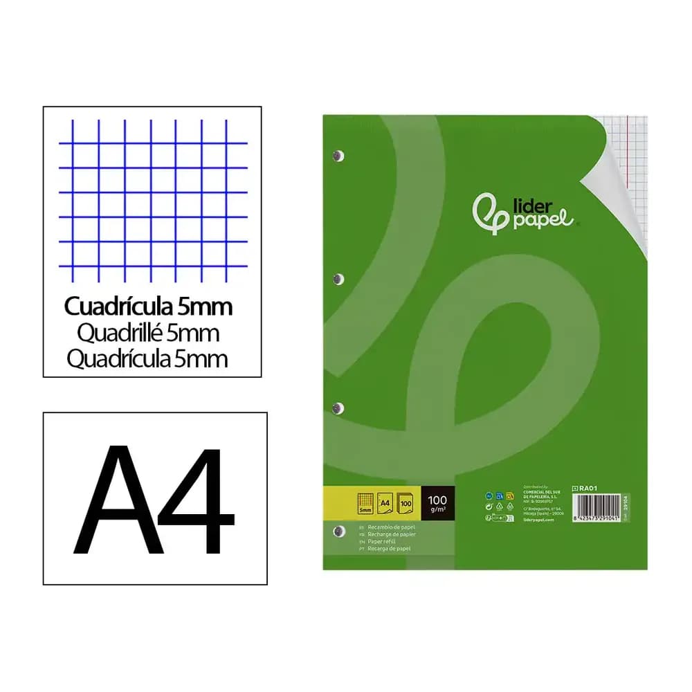 Liderpapel Recambio liderpapel a4 100 hojas 100gr cuadro 5mm con doble margen 4 taladros