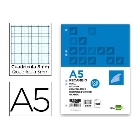 Liderpapel Recambio liderpapel a5 100 h 100gr cuadro 5mm con m argen 6 taladros